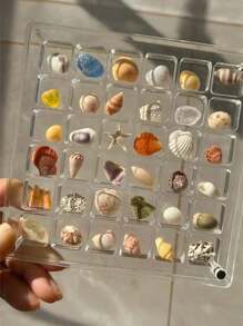 Neue quadratische klare Acryl Schaukasten Mini Muschel Sammlung Displaybox, Muschelausstellungskästen