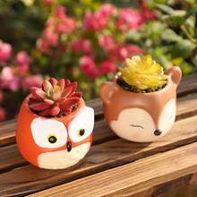 1 件树脂卡通动物创意多肉植物花盆装饰品家居花园猫头鹰造型花瓶