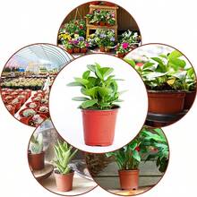 200PCS Plastic Plant Flower Garden Pots Nursery Seedlings Pot Growing Container - Orange - View 5