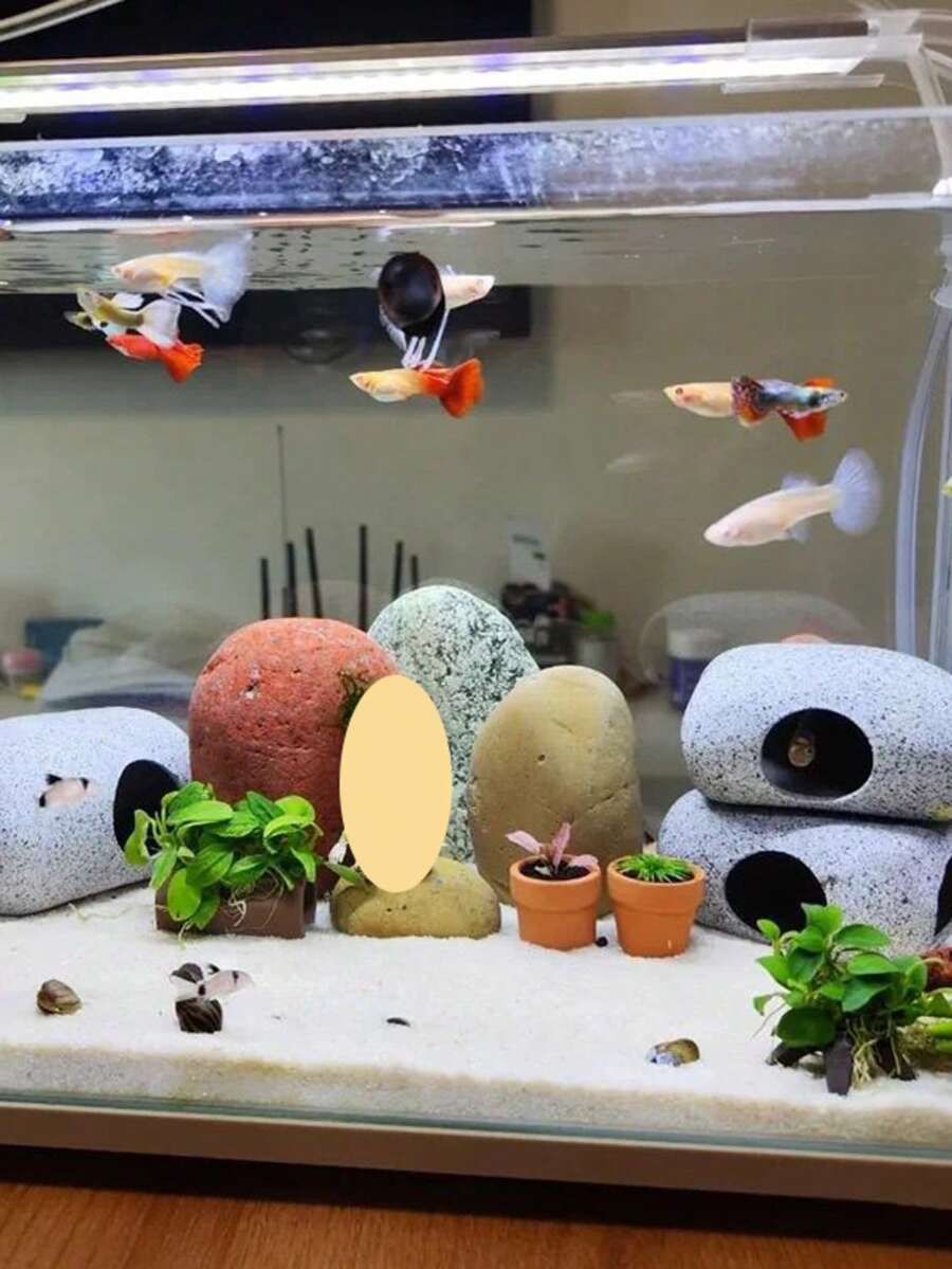 1pc Shrimp House Goldfish Shelter Cave Climbing Platform Simulated Stone Aquarium Breeding Decor Ornament - Multicolor - View 1