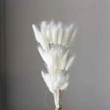 60/100 pezzi di fiori secchi di Lagurus Ovatus soffici di colore blu chiaro, coda di coniglio, per decorazioni boho in casa, matrimoni, tavolo da pranzo, raduni di fattoria, regali per feste, compleanni, lauree, decorazioni autunnali