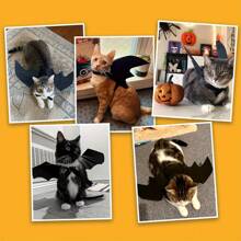 Adjustable Black Cat Bat Wing Pet Costume - Soft Polyester Halloween Pet Accessories, Suitable For Cats And Small Dogs, Great For Role-Play And Dressing Up Fun