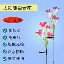 4头太阳能百合花LED花园小径灯，适用于婚礼、户外庭院和露台装饰