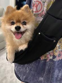 1 Bolso para mascotas que puede sujetar todo el Body - Portátil y sencillo para exteriores