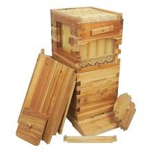 Mini Auto Flow Wood Bee Hive Beehives + 10 X Bee Frames + 6 X Bee Wax Foundation - 棕色 - 查看 10