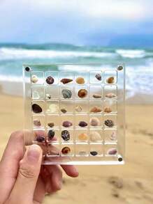 Neue quadratische klare Acryl Schaukasten Mini Muschel Sammlung Displaybox, Muschelausstellungskästen
