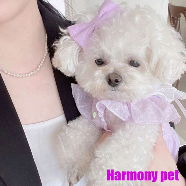 Princess Dress,Korean Style,Cute,Noble,Pet Clothing,Dog Clothes, Cat Clothes,Pet Apparel,Dog Dress Up,Bichon Frise Teddy Poodle Pomeranian...Suitable For Small And Medium-Sized Dogs(This Season, Turn Your Beloved Pet Into A Little Princess)