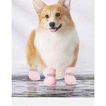 热门宠物鞋，带反光饰边，提升夜间散步时的可见度