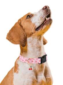 1pc Or 2pcs Fruit Patterns Adjustable Soft Dog Collar With A Little Fruit Charm For Small Medium Large Dogs Buckle Summer Spring Pet Collar For Indoor And Outdoor
