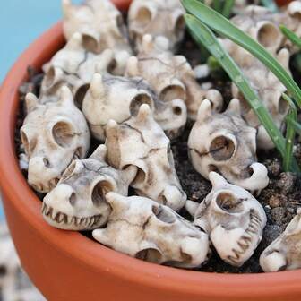 户外微型恐龙头骨雕像，树脂龙骨架花园草坪装饰，户外露台草坪桌面花盆龙骨铺路石装饰，龙头头骨盆景装饰雕像，酷炫花园装饰微型模型