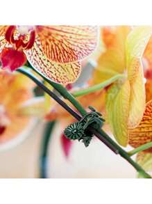 100pcs Garden Plant Clips Plastic Support Orchid Stem Clip For Vine Vegetables Flower Tied Bundle Branch Clamping Garden Tool