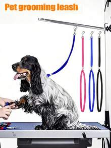 可调节宠物猫环锁夹绳 - 洗澡和美容必备美容台扶手固定装置 | 耐用、安全的宠物牵引绳，带快速释放扣 | 美容师和宠物主人最受好评的宠物用品