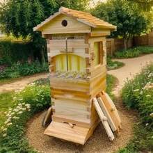 Mini Auto Flow Wood Bee Hive Beehives + 10 X Bee Frames + 6 X Bee Wax Foundation - 棕色 - 查看 2