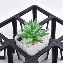 20-Slot Succulent Planter Tray, Hole Plastic Rectangular Gardening Pot Holder, Multi-Purpose Plant Support Stand For Indoor & Outdoor Use - Multicolor - View 6