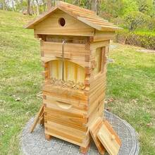 Mini Auto Flow Wood Bee Hive Beehives + 10 X Bee Frames + 6 X Bee Wax Foundation - 棕色 - 查看 7