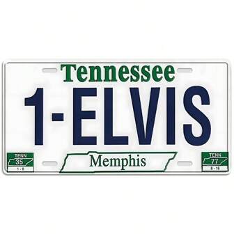 1pc Vintage License Plate, American License Plate Wall Art, Metal Tin Sign With Memphis Design, Metal Car Plaque For Fashion Enthusiasts, Retro Decor For Room, Cafe, Restaurant, Bar, 6x12inch
