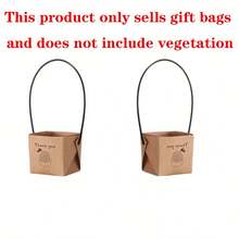 Conjunto de 20 caixas de presente para suculentas, sacos de papel kraft, materiais de embalagem para presentes, ideal para casamento, presente criativo para professores, embalagem para o Dia de Ação de Graças e Dia dos Namorados - Caqui - Ver 10