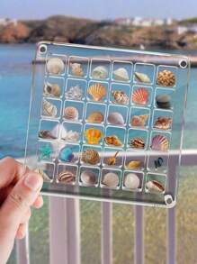 Neue quadratische klare Acryl Schaukasten Mini Muschel Sammlung Displaybox, Muschelausstellungskästen