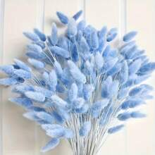 60/100 pezzi di fiori secchi di Lagurus Ovatus soffici di colore blu chiaro, coda di coniglio, per decorazioni boho in casa, matrimoni, tavolo da pranzo, raduni di fattoria, regali per feste, compleanni, lauree, decorazioni autunnali