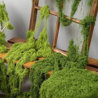 逼真的人造苔藓，适用于 DIY 工艺品和家居装饰 - 栩栩如生的绿色植物草，非常适合微型景观和婚礼装饰
