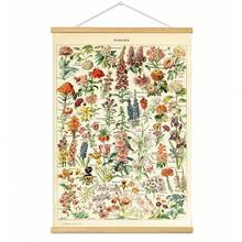 BAEMEFLE Vintage Butterfly & Insect Illustrations - Framed Canvas Art For Home And Office Decor, Perfect For Bedroom And Living Room Walls - Multicolor - View 25