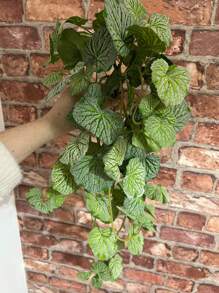 40/70cm Artificial Hanging Vines Fake Begonia Plants Silk Grape Rattan Real Touch Vivid Vine Leaves Hanging Scindapsus Garland For Home Garden Indoor Balcony Decor Without Pot 1pc
