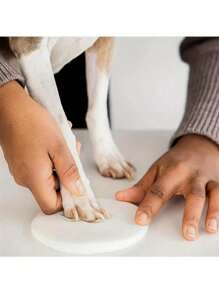 1pc Cat And Dog Paw Print Clay Kit - DIY Keepsake Set With Bracket, Golden Paint, Brush, Mold Box, Letter Mold, And Ribbon For Pet Birthday Gift, Material: Clay, Includes 2 Bags Of Printing Clay