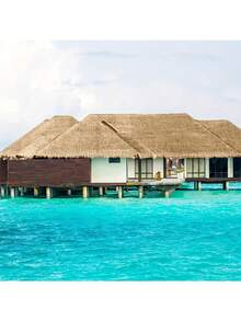 Fire-Resistant Artificial Thatch Roofing, Suitable For Mexican-Style Palapas, Tiki Bars And Beach Themed Decor, Waterproof And Easy To Install, Durable PE Material With Rubber Bottom, Synthetic Thatch Roll - Faux Mexican Palm Roof For Outdoor Patio, Garden, Gazebo And Landscape Wall Decoration, Long-Lasting Artificial Grass - Multicolor - View 9