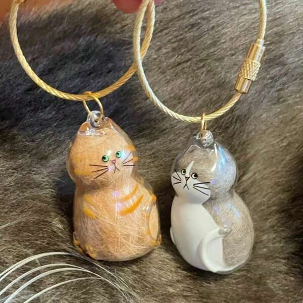 1 Cute Transparent Cat Hair Storage Box, Pendant, Twisted Egg Cat Hair Storage Capsule Twisted Egg Pack Keychain Pendant Collection Pet Souvenirs
