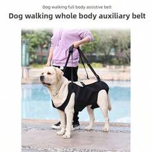 狗狗全身輔助帶，寵物攜帶袋，適用於老年犬與殘疾犬的復健運動輔助帶，可協助狗狗行走與爬樓梯，適合狗狗外出使用，黑色，S-XXL - 黑色 - 查看 6