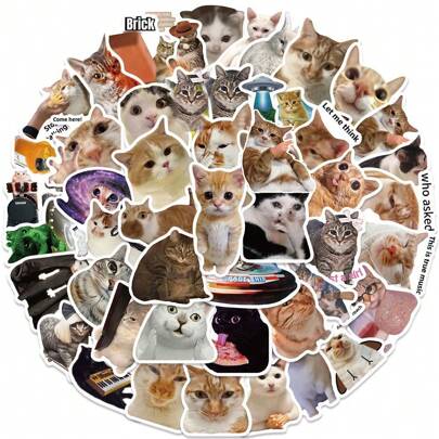 50 piezas Pegatinas divertidas de memes, pegatinas de gatos lindos, calcomanías de gatos meme, pegatinas de gatos de dibujos animados divertidos, pegatinas de animales meme, pegatinas de vinilo resistentes al agua para botellas de agua, computadoras, portátiles, teléfonos, equipaje, cuadernos, refrigeradores