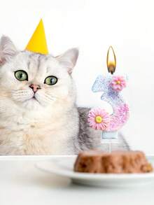 Flower Decor 0-9 Numbers Candles, Birthday Cake Decor, Party Candles, Atmospheric Party Supplies, Romantic Party Supplies, Birthday Candles, Personal Party, Graduation Party, Halloween, Christmas, Birthday Party, Etc. Cake Decor, Baking Decor, Creative Number Birthday Candles, Birthday Cake Decor Candles, Valentine's Day Decor, Suitable For 1-100 Years Old Birthday Party Cake Decor - Pink Daisy - View 5