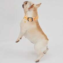 Collier de chien mignon avec charm fleur, couleurs rose, jaune, blanc. Collier de compagnie ajustable avec motif floral pour chien femelle et mâle, de petite, moyenne et grande taille