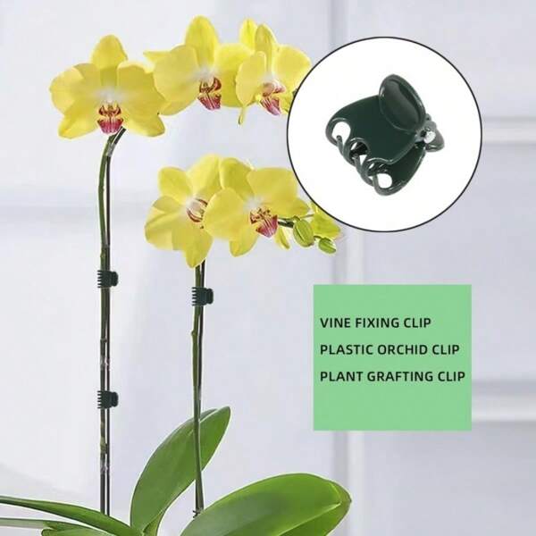 50/100PCS Plastic Plant Support Clip Orchid Stem Clip For Vine Support Vegetable & Flower Bundle Tie Branches Clamp Gardening Tools Vine Support Frame Vegetable & Flower Bundle Tie Branches Fixed Clamp Gardening Climbing Rack