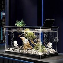 Acuario cubierto para uso doméstico, con alimentador de tortugas, acuario pequeño/mediano transparente para peces de colores, decoración de plantas acuáticas, acuario de escritorio para tortugas