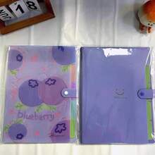 2 Packs Expanding File Folders With 5 Pockets 16 Labels, School Home Office Must Have, 4 Summer Fruits Patterns Optional