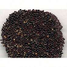 300 Peony Seed Packs, Suitable For Home Gardening Planting Flower Seed Packs