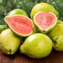 piezas de semillas en maceta oferta de descuento semillas de guayaba semillas de frutas vegetales orgánicas maceta de bonsái de árbol de guayaba semillas de frutas - 100 piezas - Ver 3