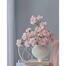 Seeds 173pcsScarlet Red Carnation Flower  Dianthus Caryophyllus Showy Accent Plant Striking Landscaping Plant Spectacular Display - 173 - View 4