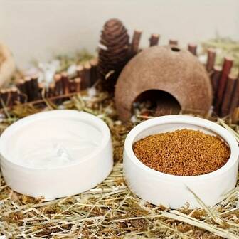 1pc Solid Color Ceramic Small Pet Feeding Bowl, Durable Water Bowl, Escape-Proof Design, Easy To Clean, Suitable For Lizards, Frogs, Hamsters, Birds, Rabbits And Other Small Pets