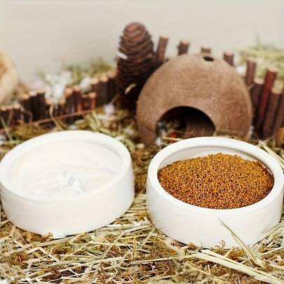1 件纯色陶瓷小宠物喂食碗，耐用水碗，防逃脱设计，易于清洁，适用于蜥蜴、青蛙、仓鼠、鸟类、兔子和其他小宠物