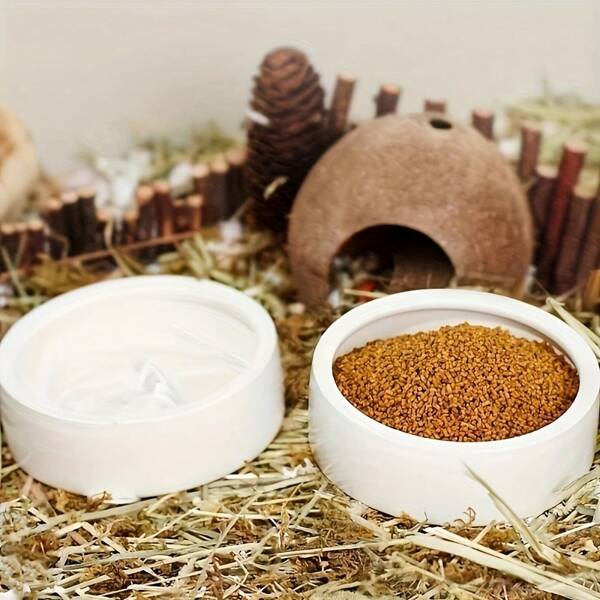 1 pezzo Ciotola per animali domestici piccoli in ceramica di colore solido, ciotola dell'acqua durevole, design anti-fuga, facile da pulire, adatta per lucertole, rane, criceti, uccelli, conigli e altri piccoli animali domestici