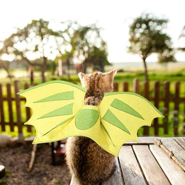 New Pet Dinosaur Transformation Costume Dog/Cat Halloween Flying Dragon Wings Apparel, Funny Harness