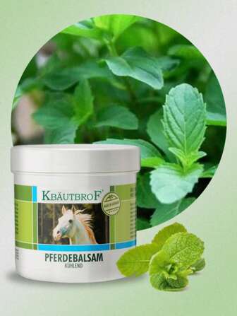 1pc Chestnut Extract Massage Gel For Joint And Muscle Relief, Good For Shoulder, Neck, Waist And Leg