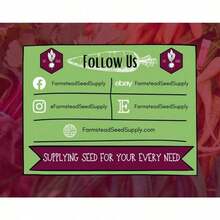 Vibrant Colors 37,900 Summer Seeds |     Heirloom, Non-GMO, Culinary Herb Cultivation, Easy-To-Grow Seed Package For Container Gardens, Satureja Hortensis - 150件 - 查看 11