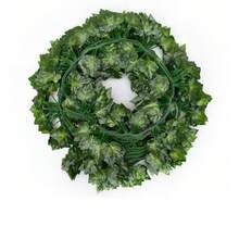 12 件 78.7 英寸塑料人造常春藤绿叶藤蔓悬挂爬山虎假植物藤蔓植物爬山虎叶、绿萝叶藤、西瓜叶藤、海棠叶藤、葡萄叶藤，适用于墙壁花园户外室内婚礼家居装饰、情人节、礼物生日毕业 - 彩色 - 查看 22