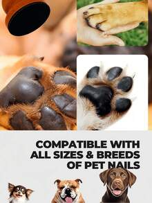 1 件木制宠物指甲锉，狗美容工具，家用可拆卸爪磨器指甲刮刀，磨料可更换 - 彩色 - 查看 9