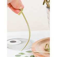 20/50/100/200pcs Natural Bamboo Skewers, Fruit Forks, Appetizer Toothpicks, Party Decorative Sticks, Vegetable & Fruit Bamboo Picks, Food Sticks, Sandwich & Burger Forks, Sushi Picks, Party Supplies, Suitable For Celebrations, Birthdays, Graduations, Weddings, Christmas,School Supplies - Multicolor - View 11