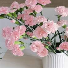 Seeds 173pcsScarlet Red Carnation Flower  Dianthus Caryophyllus Showy Accent Plant Striking Landscaping Plant Spectacular Display - 173 - View 2