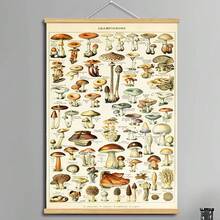 BAEMEFLE Vintage Butterfly & Insect Illustrations - Framed Canvas Art For Home And Office Decor, Perfect For Bedroom And Living Room Walls - Multicolor - View 26